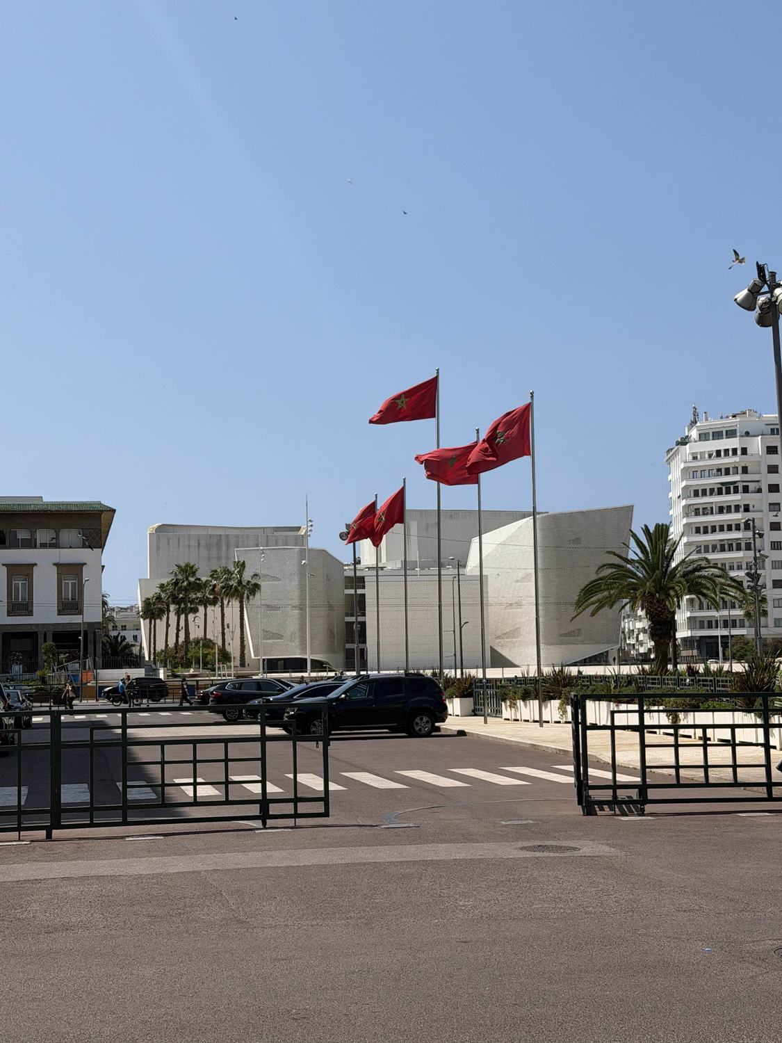 لقاء مع نائب عمدة الدار البيضاء مولاي أحمد أفيلال